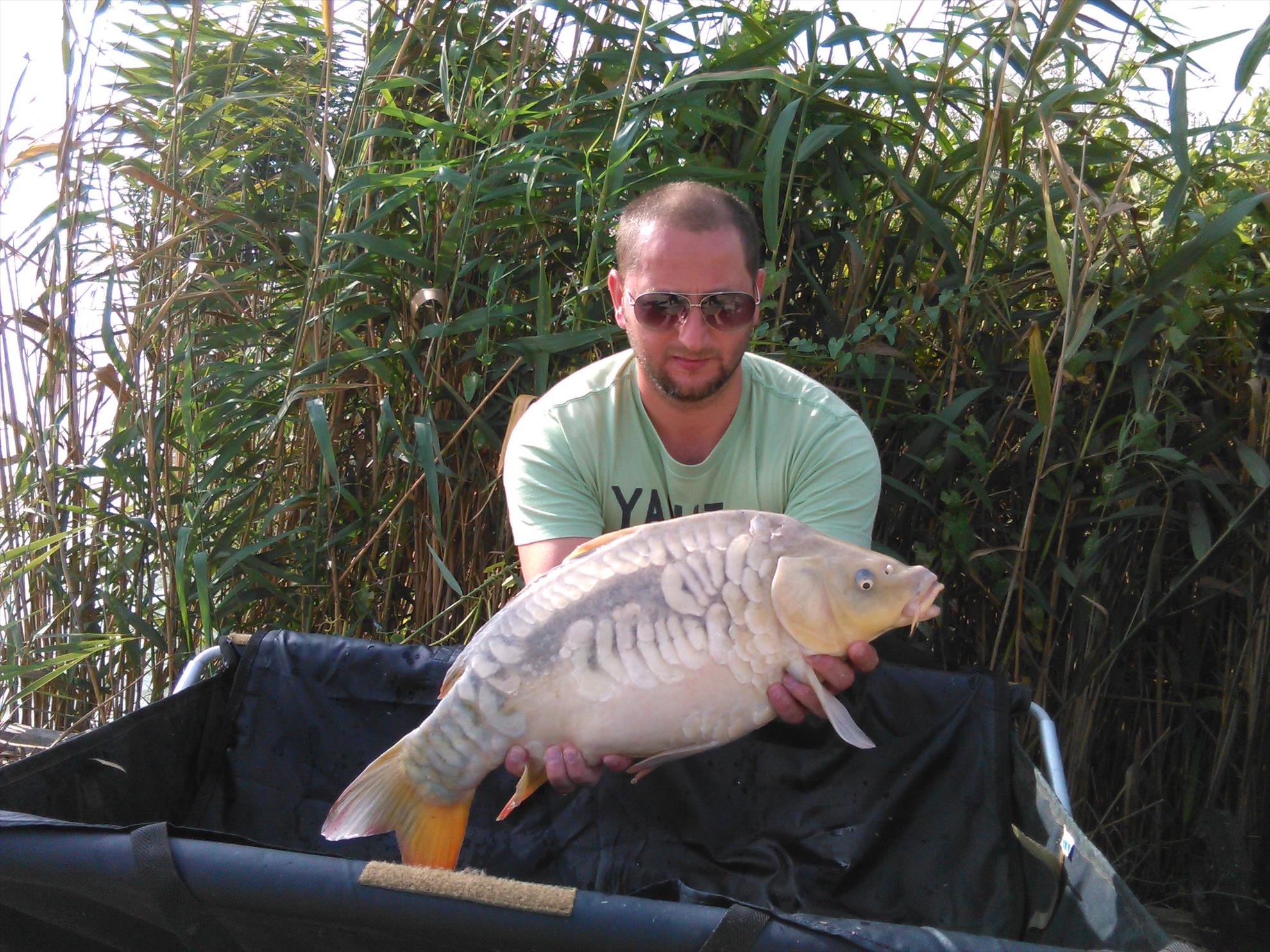 Cupa Dobrogeana Corbu -Sept.2015 - img20150927100932.jpg